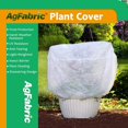 thumbnail image 1 of Agfabric  Plant Protecting Bag 0.95oz 60''x50''x12'', 1 of 5