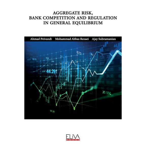 Aggregate Risk, Bank Competition and Regulation in General Equilibrium (Paperback)