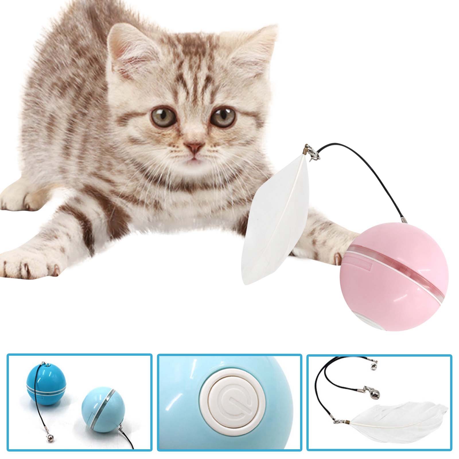 Aggressive Chewer Dog Pack & Wiggles Dog under 10 for Aggressive