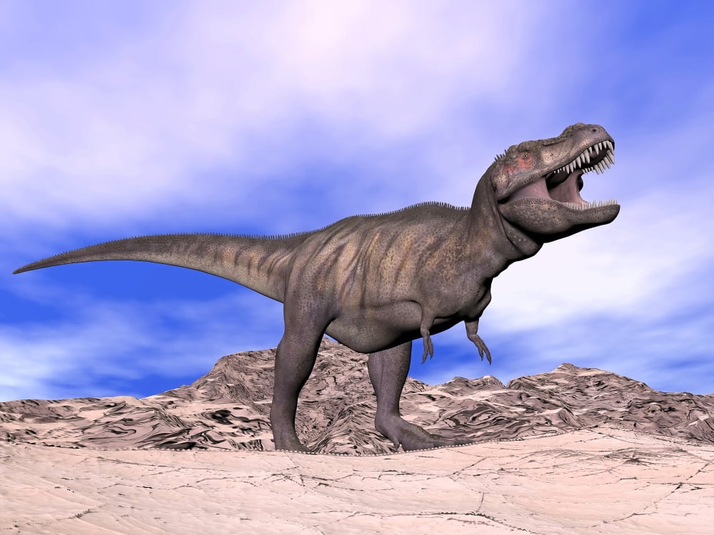 Aggressive Tyrannosaurus Rex dinosaur in the desert Canvas Art - Elena DuvernayStocktrek Images (33 x 25)