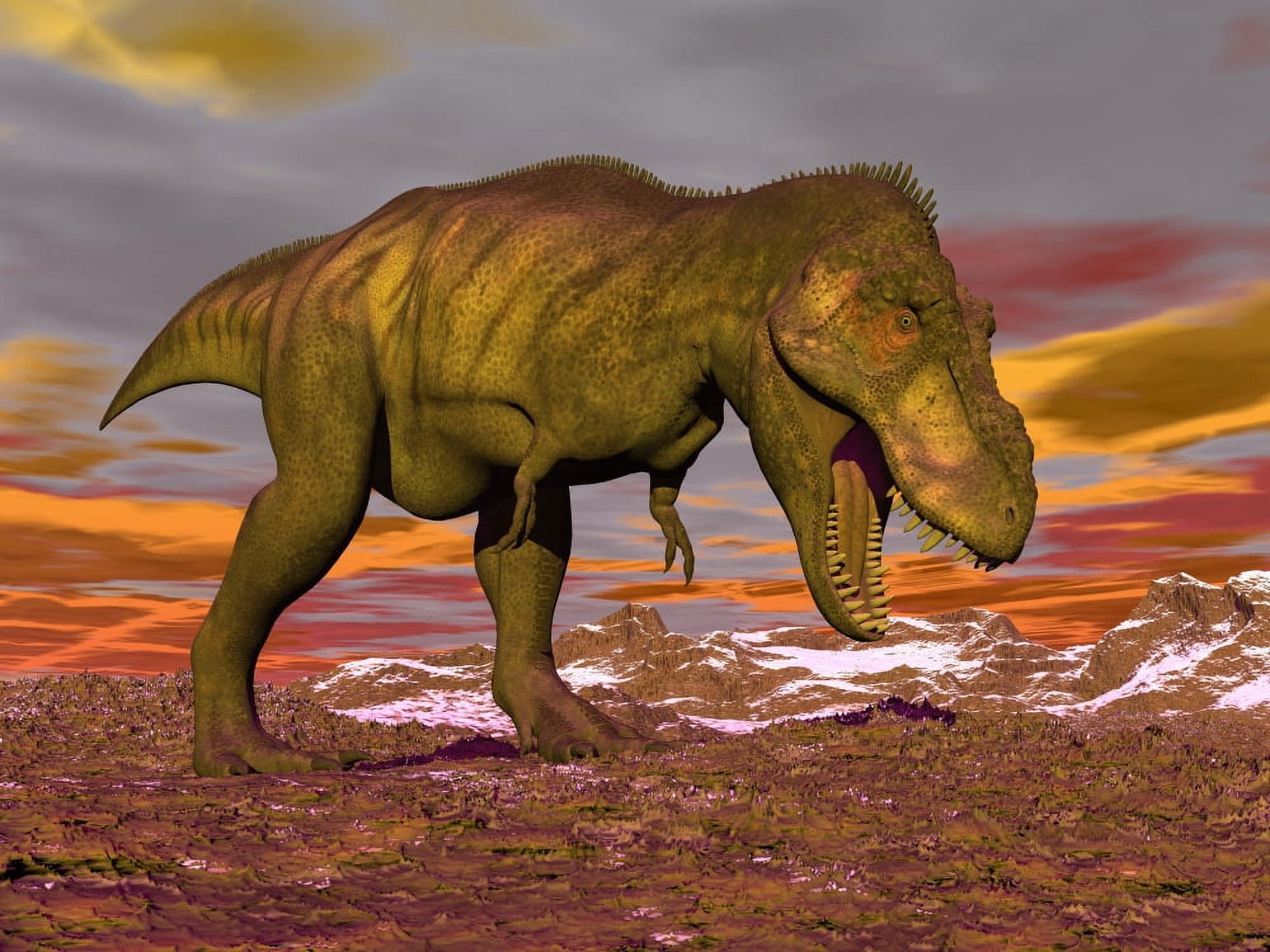 Aggressive Tyrannosaurus Rex dinosaur walking in the desert Canvas Art - Elena DuvernayStocktrek Images (17 x 13)