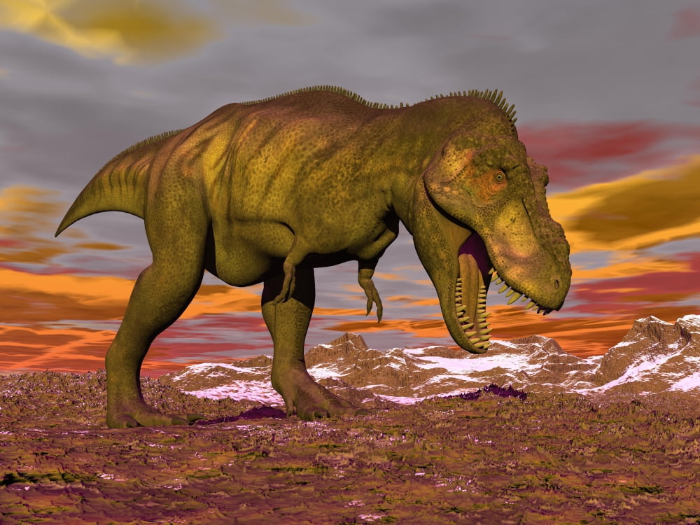 Aggressive Tyrannosaurus Rex dinosaur walking in the desert Canvas Art - Elena DuvernayStocktrek Images (33 x 25)