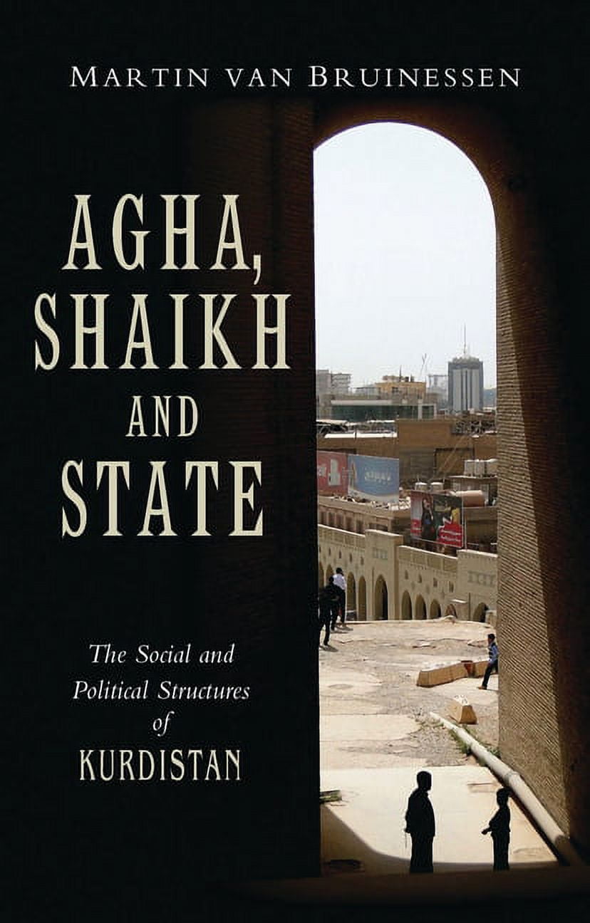 Sahikh Agha, Shaikh and State, (Paperback) - Walmart.com