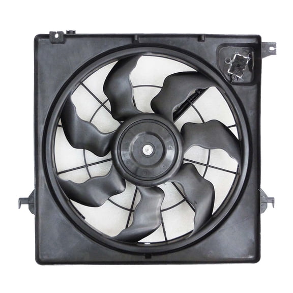 Agility Auto Parts 6010033 Engine Cooling Fan Assembly for Hyundai Specific Models