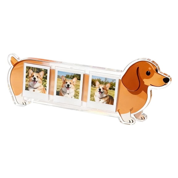 Agiufgs Cat Photo Frame Acrylic Cat, Holds 4 Photos with Desk Decor Design, for Tabletop Display in Living Room or Office, Multicolor