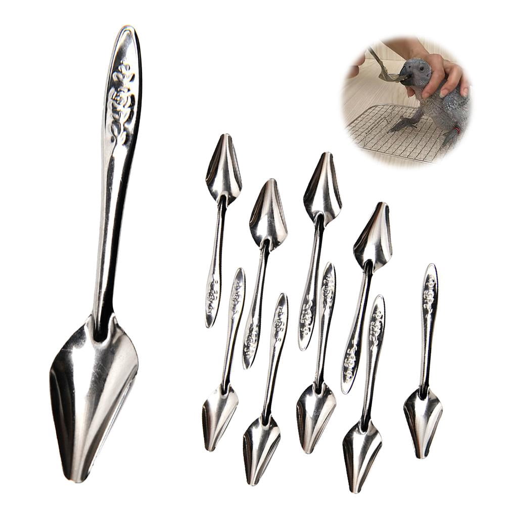 Agiufgs Stainless Steel Parrot Feeding Spoon, 4.72 in Long for Precise ...