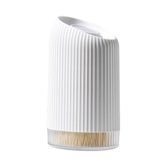 Agiufgs Toothpick Holder with 300 Bamboo, and Portable Design, for Kitchen Table Decoration and Dining Use, White, One Size