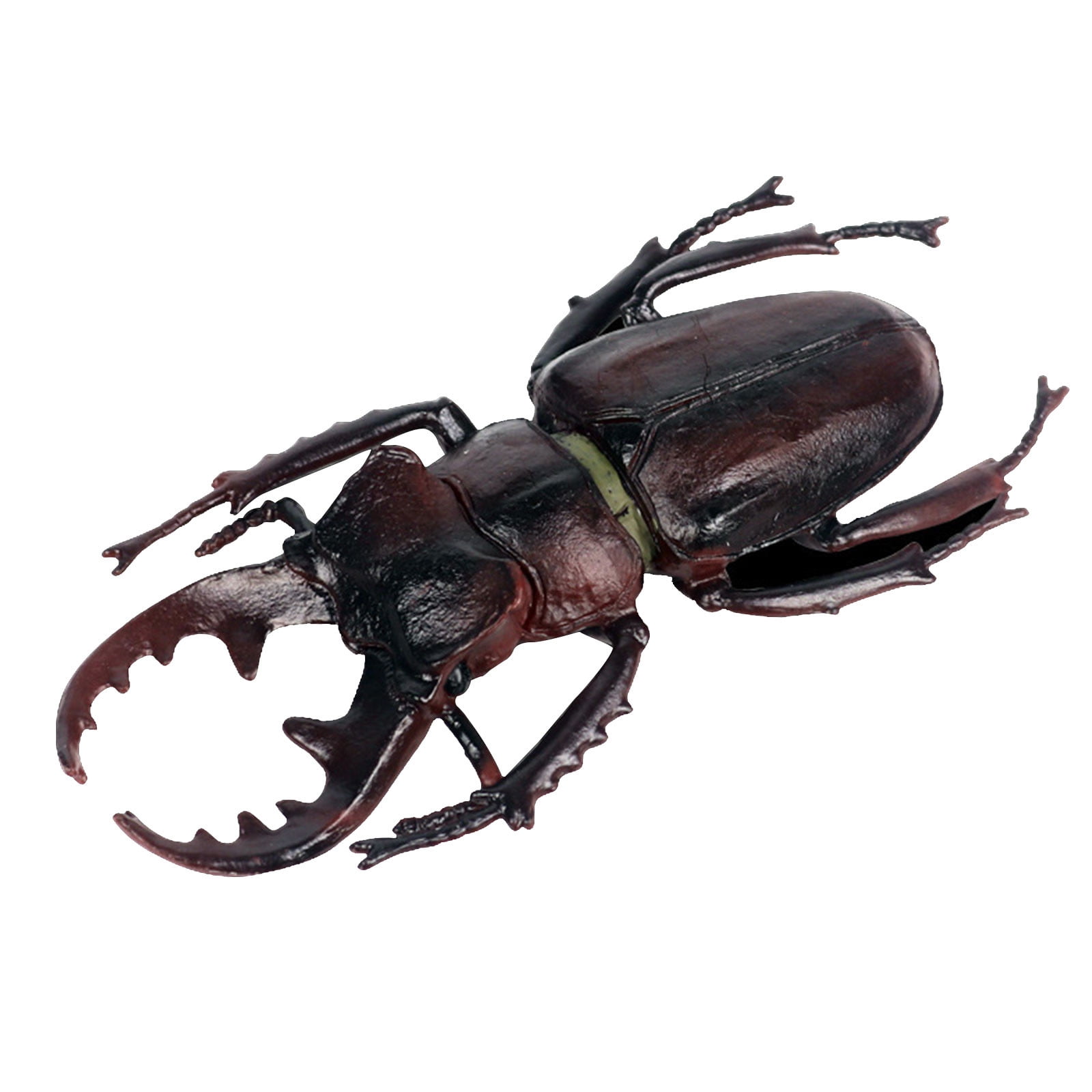 AgjDHH Halloween Spider Decorations, Children's Solid Simulation Insect ...