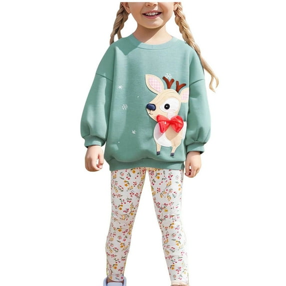 Agkizg Girls Clothing Sets Toddler Girls Outfit Sets Long Sleeve Crew Neck Graphic Print Fleece Hoodie and Tight Elastic Pants 2 Piece Fall Winter Outfit Sets