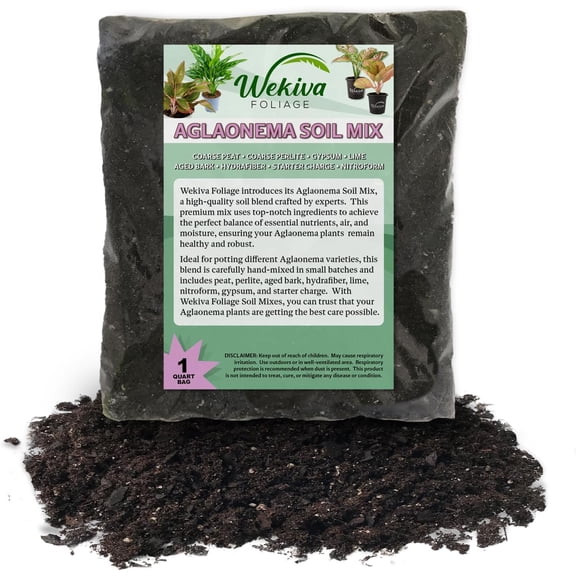 Aglaonema Growing Soil Mix – 5 Quarts - Custom Soil Blend – Potting Mix for Aglaonema  – Specially Developed by and for Professional Nursery Growers - Nutrient-Rich Formula