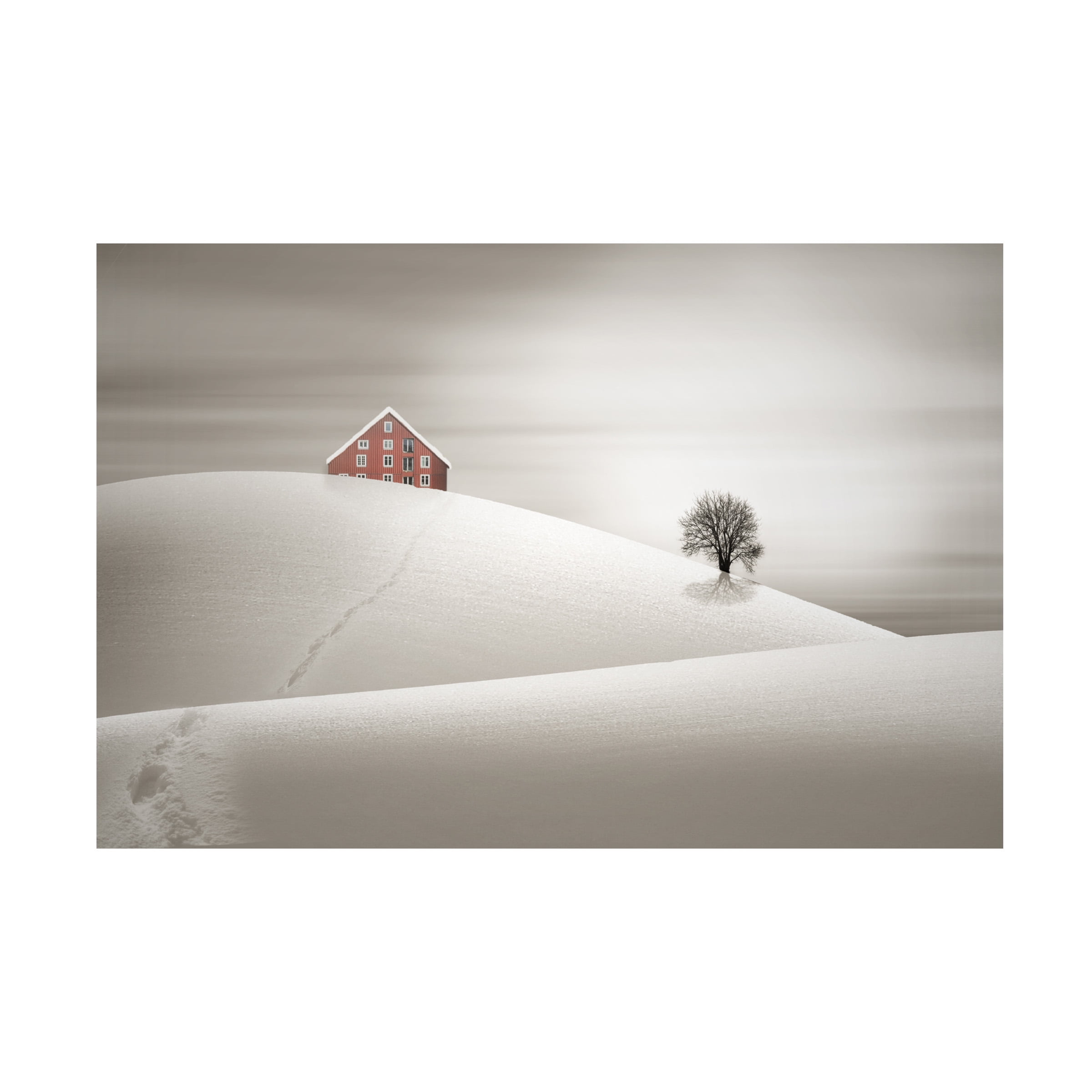 Agniribe 'Winter' Canvas Art