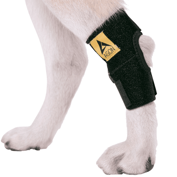 Agon® Dog Canine Rear Hock Joint Brace Compression Wrap With Straps Dog For Back Leg Protects Wounds. Heals Prevents Injuries and Sprains Helps with Loss of Stability Caused by Arthritis (Small)