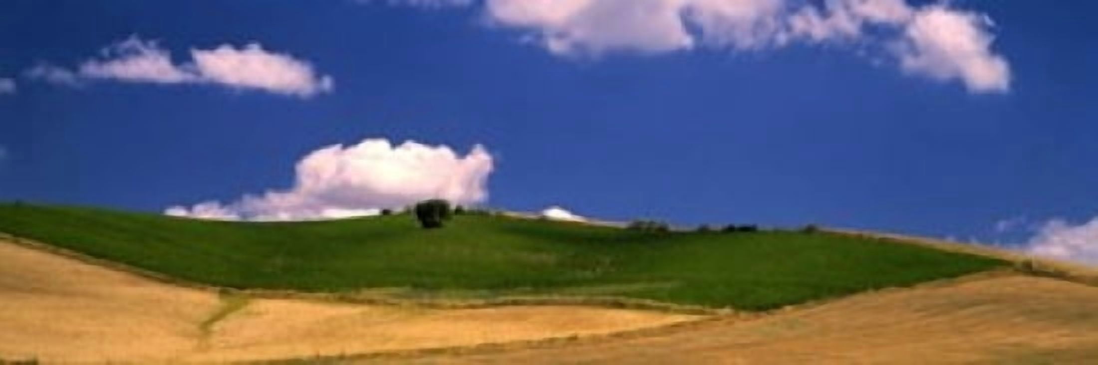 Agricultural field Ronda Malaga Province Andalusia Spain Canvas Art - Panoramic Images (36 x 12)