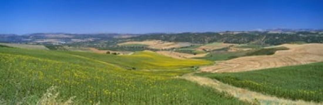 Agricultural fields Ronda Malaga Andalusia Spain Canvas Art - Panoramic Images (18 x 6)