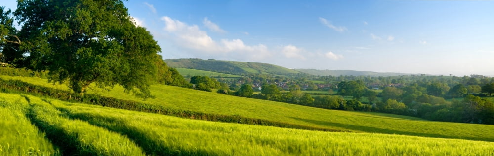 Agricultural fields in Okeford Fitzpaine Dorset England Canvas Art - Panoramic Images (36 x 12)