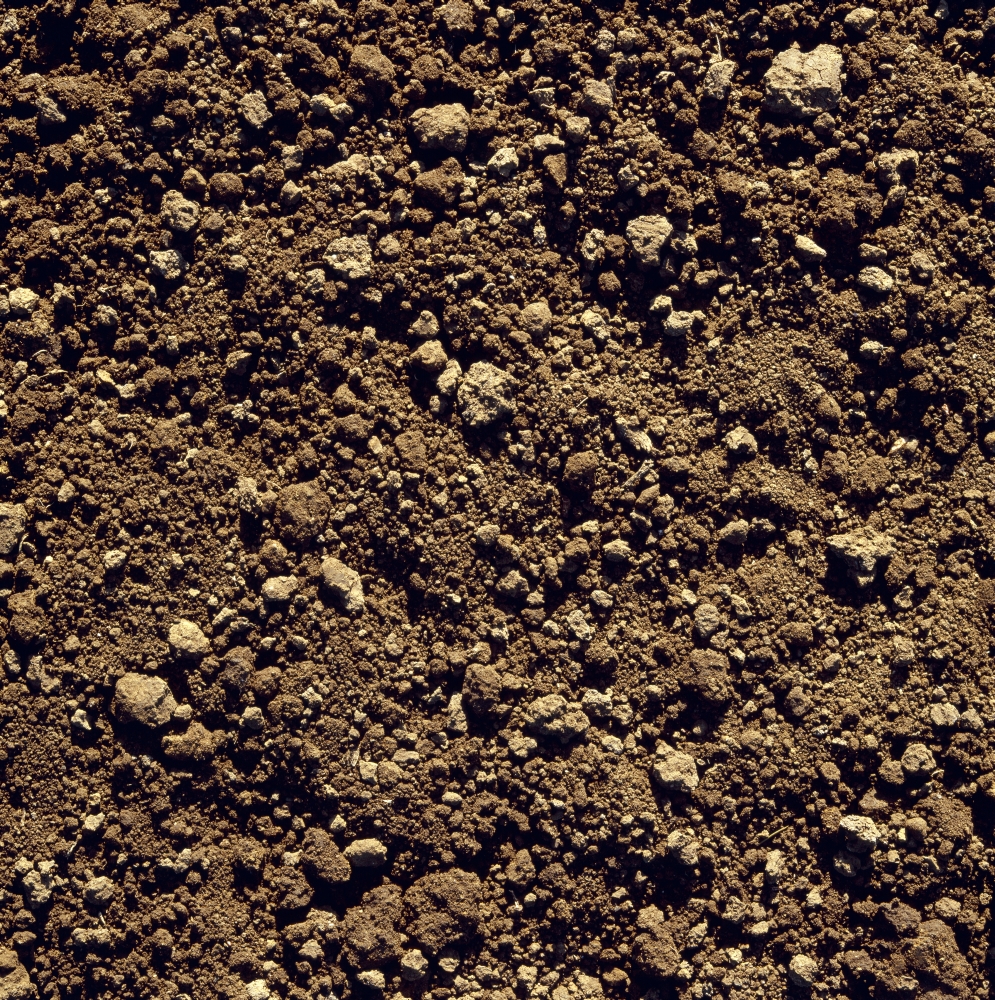 Agriculture - Closeup of clay soil Monterey County California USA Canvas Art - Ed Young Design Pics (15 x 15)