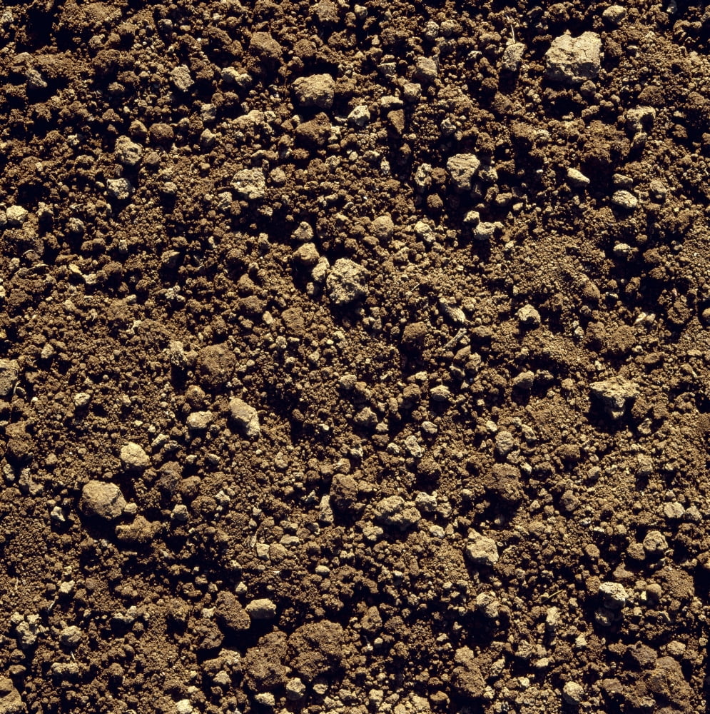Agriculture - Closeup of clay soil Monterey County California USA Canvas Art - Ed Young Design Pics (24 x 24)