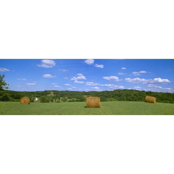 Agriculture - Dried round grass hay bales in the field with a barn in the distance Holmes County Ohio USA Canvas Art - Timothy Hearsum Design Pics (36 x 12)