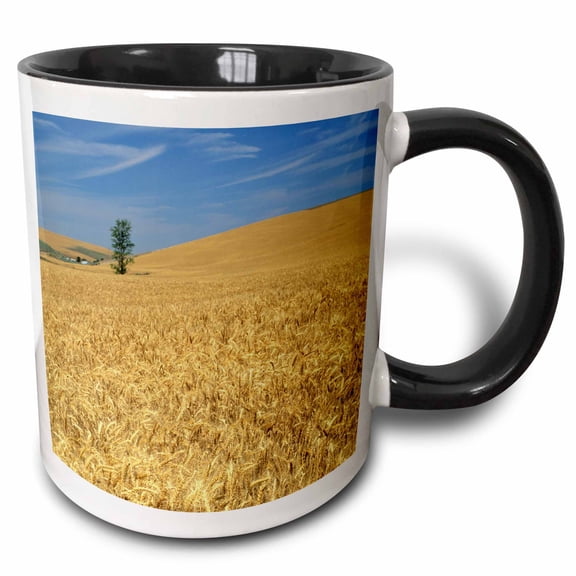 3drose, Agriculture, Golden Wheat Near Pendleton, Oregon - Us38 Dfr0102 - David R. Frazier, 11oz Two-tone Black Mug