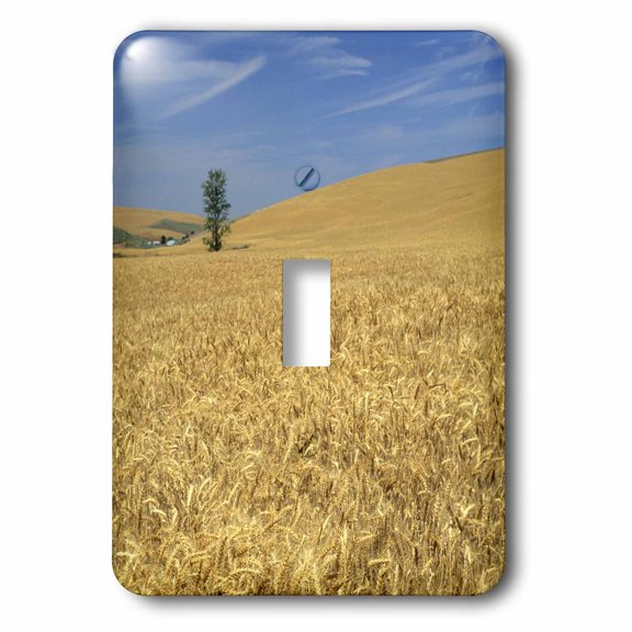 3dRose, Agriculture, Golden wheat near Pendleton, Oregon - US38 DFR0102 - David R. Frazier, single toggle switch