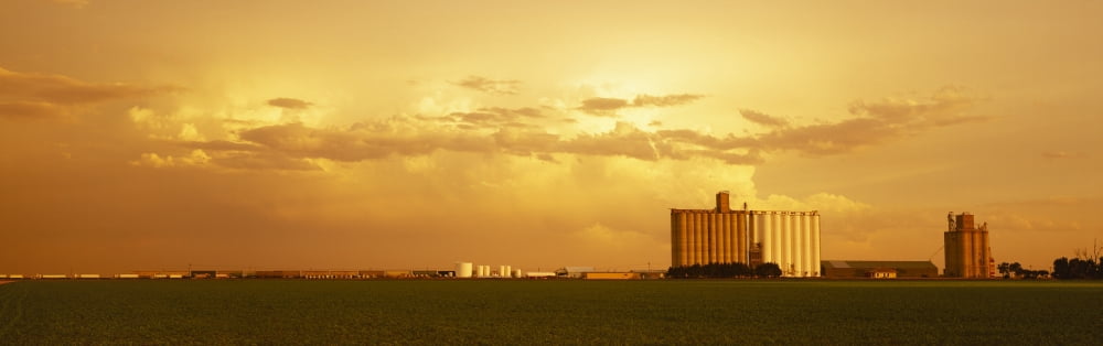 Agriculture - Grain elevators and an early growth corn field in late afternoon light Johnson City Kansas USA Canvas Art - Timothy Hearsum Design Pics (32 x 10)