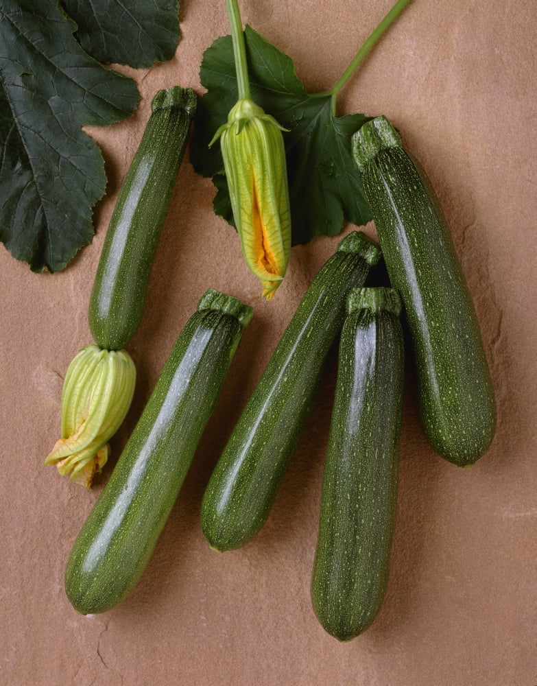 Agriculture - Green zucchini on a stone surface variety Tigress studio Canvas Art - Ed Young Design Pics (13 x 17)