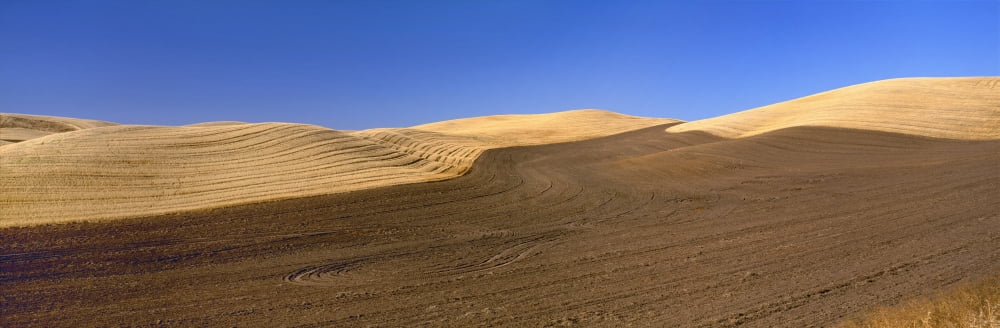 Agriculture - Harvested and plowed rolling wheat fields of the Palouse region in early Autumn Whitman County Washington USA Canvas Art - Charles Blakeslee Design Pics (36 x 12)