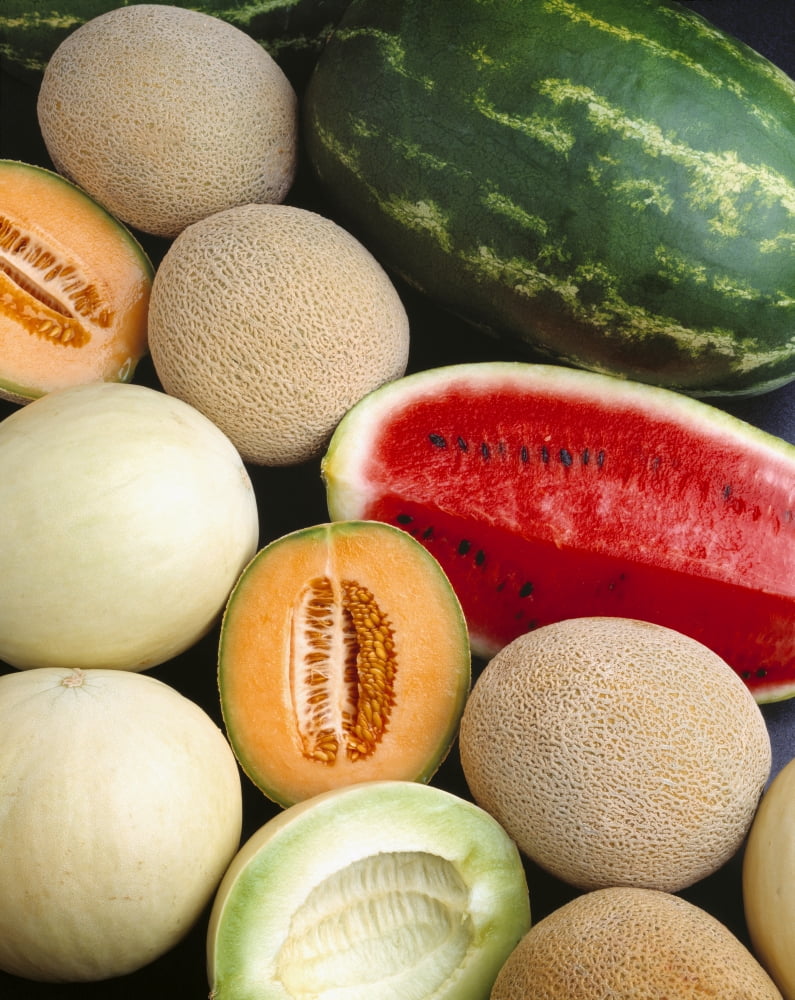 Agriculture - Mixed melons watermelon cantaloupe and honeydew Canvas Art - Ed Young Design Pics (13 x 17)