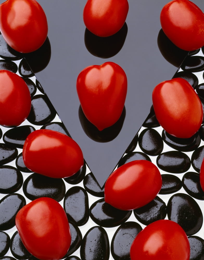 Agriculture - Processing tomatoes on black rocks triangle and white surface studio Canvas Art - Ed Young Design Pics (13 x 17)