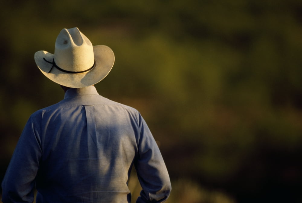 Agriculture - View of a cowboy from behind Cee Vee Texas USA Canvas Art - Russell Graves Design Pics (18 x 12)