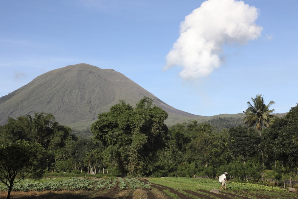 Agriculture near Kinilow town at foot of Lokon-Empung volcano Indonesia Canvas Art - Richard RoscoeStocktrek Images (18 x 12)