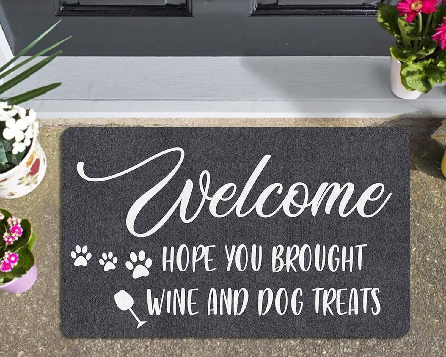 Agriism Hope You Brought Wine and Dog Treats Doormat,Funny Doormat,Dog