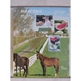 thumbnail image 1 of Pre-Owned Agriscience, 9781269542968, 1269542966, Hardcover, 6th edition edition, 1 of 1