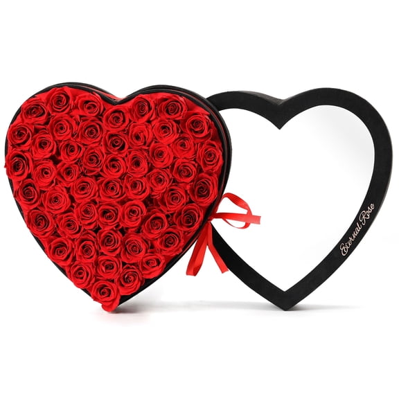 Agrul Valentines Day Roses Gifts for Women,Forever Preserved Flowers Roses in a Heart Shape Box,Anniversary Birthday Valentines Day Gifts for Her Wife Women Best Friend Daughter/50Pcs Red Y114
