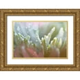 thumbnail image 1 of Agrypolous, Lisa 14x11 Gold Ornate Wood Framed with Double Matting Museum Art Print Titled - Tranquility, 1 of 4