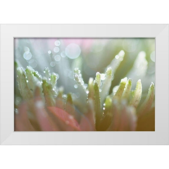 Agrypolous, Lisa 14x11 White Modern Wood Framed Museum Art Print Titled - Tranquility