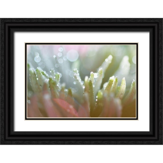 Agrypolous, Lisa 18x13 Black Ornate Wood Framed with Double Matting Museum Art Print Titled - Tranquility