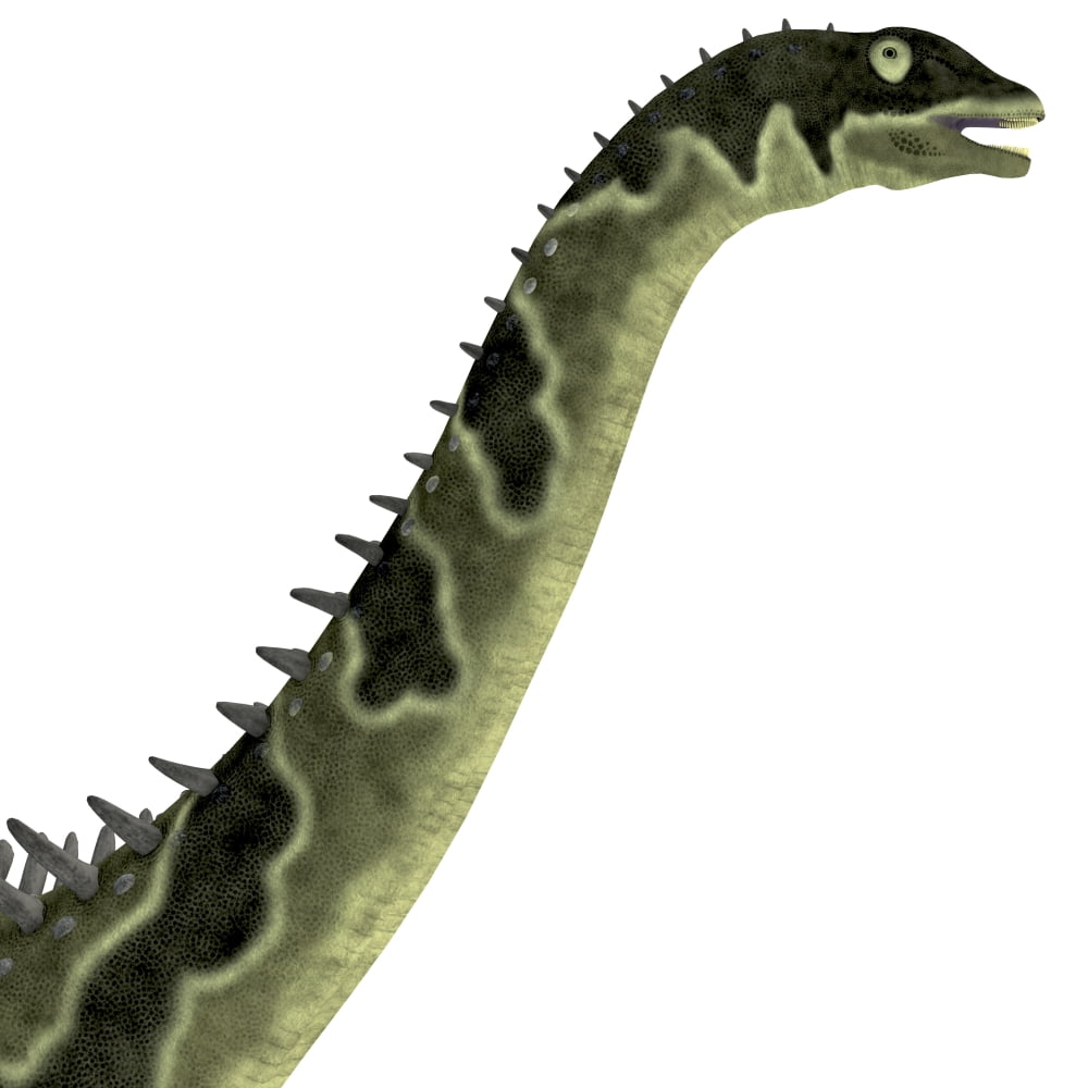 Agustinia dinosaur head Canvas Art - Corey FordStocktrek Images (29 x 29)
