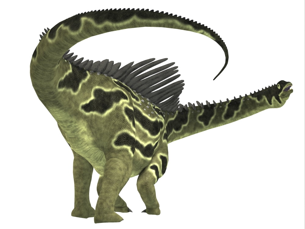 Agustinia is a herbivorous dinosaur that lived during the Cretaceous period Canvas Art - Corey FordStocktrek Images (17 x 13)
