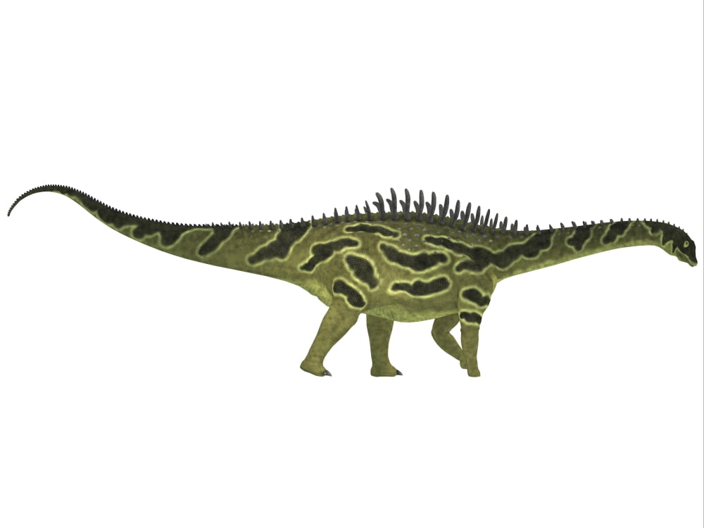 Agustinia ligabuei a sauropod from the Early Cretaceous Period Canvas Art - Corey FordStocktrek Images (17 x 13)