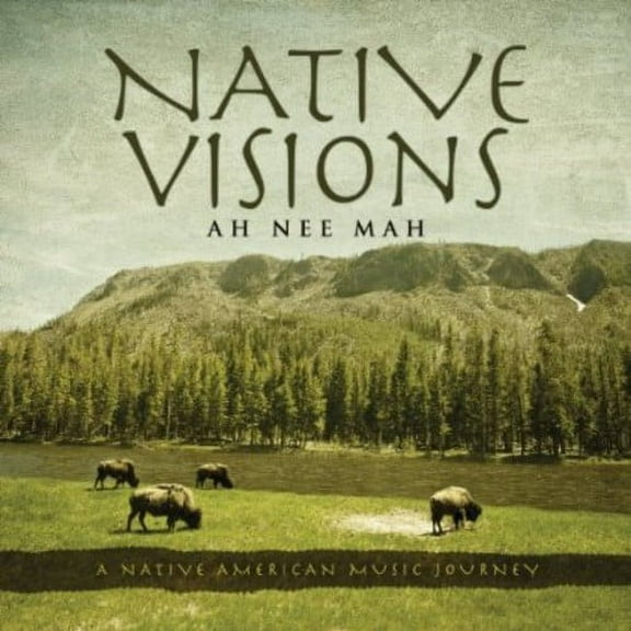 Ah*Nee*Mah - Native Visions: A Native American Music Journey - Music & Performance - CD