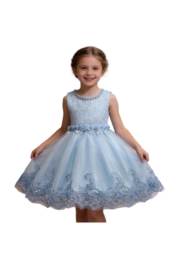 Little Girl Wedding Guest Dress Summer Formal Beaded Embroidery Princess A-Line Skirt Sleeveless Suitable for Girls
