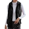 thumbnail image 1 of Ahdbta Womens Fuzzy Fleece Vest Casual Full Zipper Warm Sleeveless Jackets Solid Color Loose Fitted Lapel Collar Winter Vests, 1 of 8