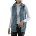 thumbnail image 1 of Ahdbta Womens Fuzzy Fleece Vest Casual Full Zipper Warm Sleeveless Jackets Solid Color Loose Fitted Lapel Collar Winter Vests, 1 of 5