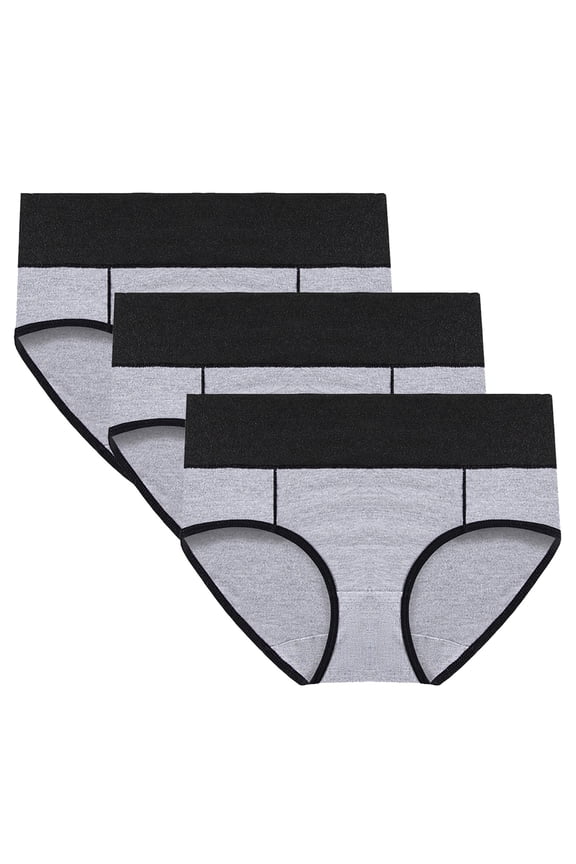 3pc Plus Size Underwear for Women Full Coverage Seamless Briefs High Waist Stretch Ladies Panties