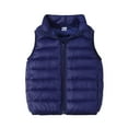 thumbnail image 1 of AherBiu Baby Clothes Toddler Puffer Vests Lightweight Zip up Stand Collar Boys Winter down Vest Solid Color, 1 of 7