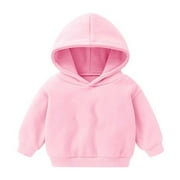 AHERBIU Baby Lightfleece Hoodie Pullover Sweatshirt Unisex Child Kids Long Sleeve Animal Graphic Winter Fall Tops