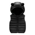 thumbnail image 1 of AherBiu Infant Baby Clothes Sleeveless Puffer Jackets Lightweight Zip up Hooded Unisex Boys Girls Vests Winter Waistcoat, 1 of 6