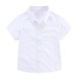 thumbnail image 1 of AherBiu Toddler Boys Clothes School Kids Formal Tops Button down Shirt Lapel Short Sleeve Dress Tops, 1 of 7