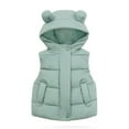 thumbnail image 1 of AherBiu Toddler Puffer Vests Lightweight Zip up Ear Hooded Sleeveless Boys Girls Winter down Coats with Pocket, 1 of 7